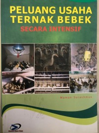 PELUANG USAHA TERNAK BEBEK SECARA INTENSIF