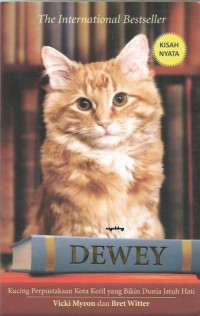 DEWEY Kucing Perpustakaan Kota Kecil yang Bikin Dunia Jatuh Hati